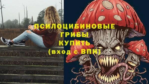 герыч Абаза