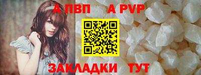 ешки Кингисепп