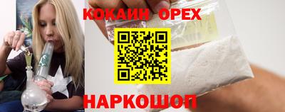 ешки Кингисепп