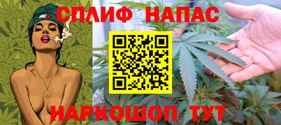 ешки Кингисепп