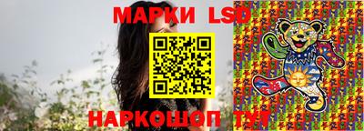 дмт Кимры