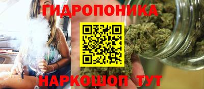 ешки Кингисепп