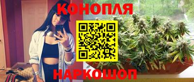 дмт Кимры