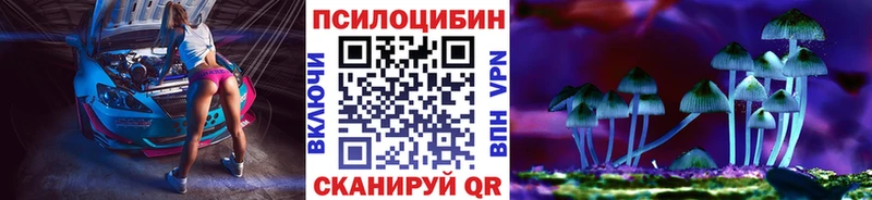 Псилоцибиновые грибы Psilocybe  Оренбург 