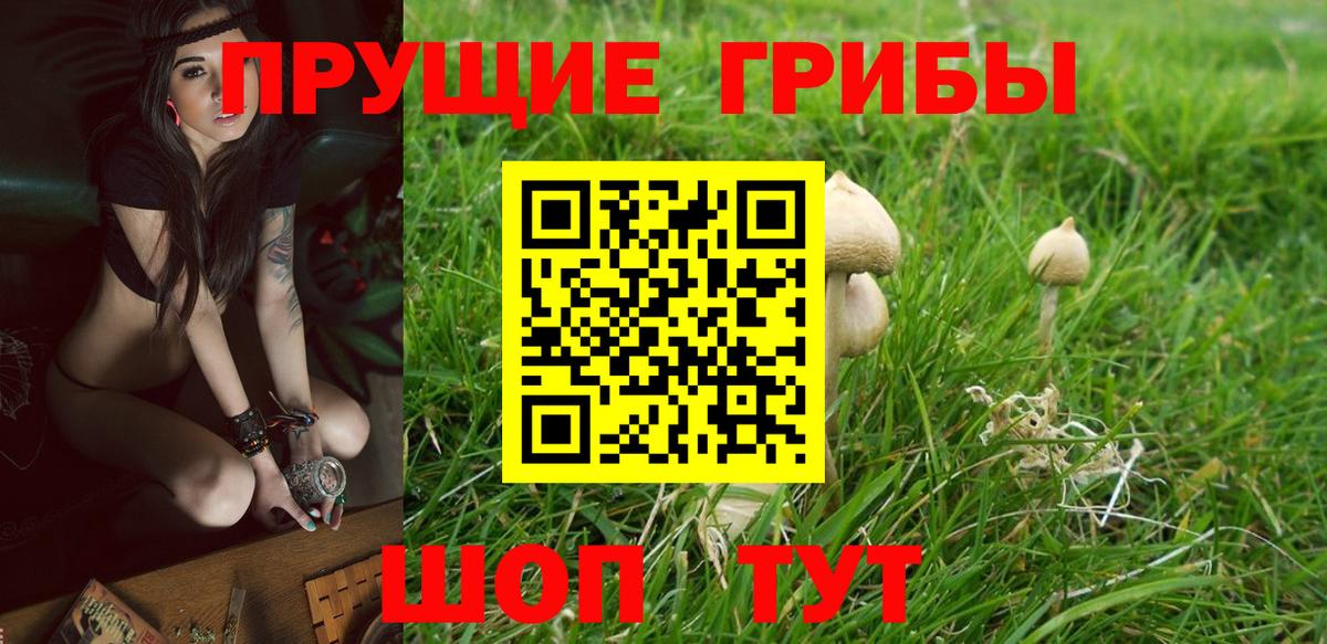 Галлюциногенные грибы мицелий  Вход с VPN  Оренбург  Псилоцибиновые грибы Cubensis 